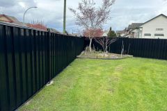 WhatsApp-Image-2025-03-05-at-9.16.23-PM