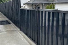 WhatsApp-Image-2025-03-12-at-8.38.40-PM-1